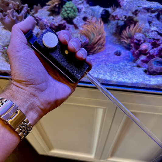 Hand holding the Avast Marine MATEY tool near an aquarium with coral and fish