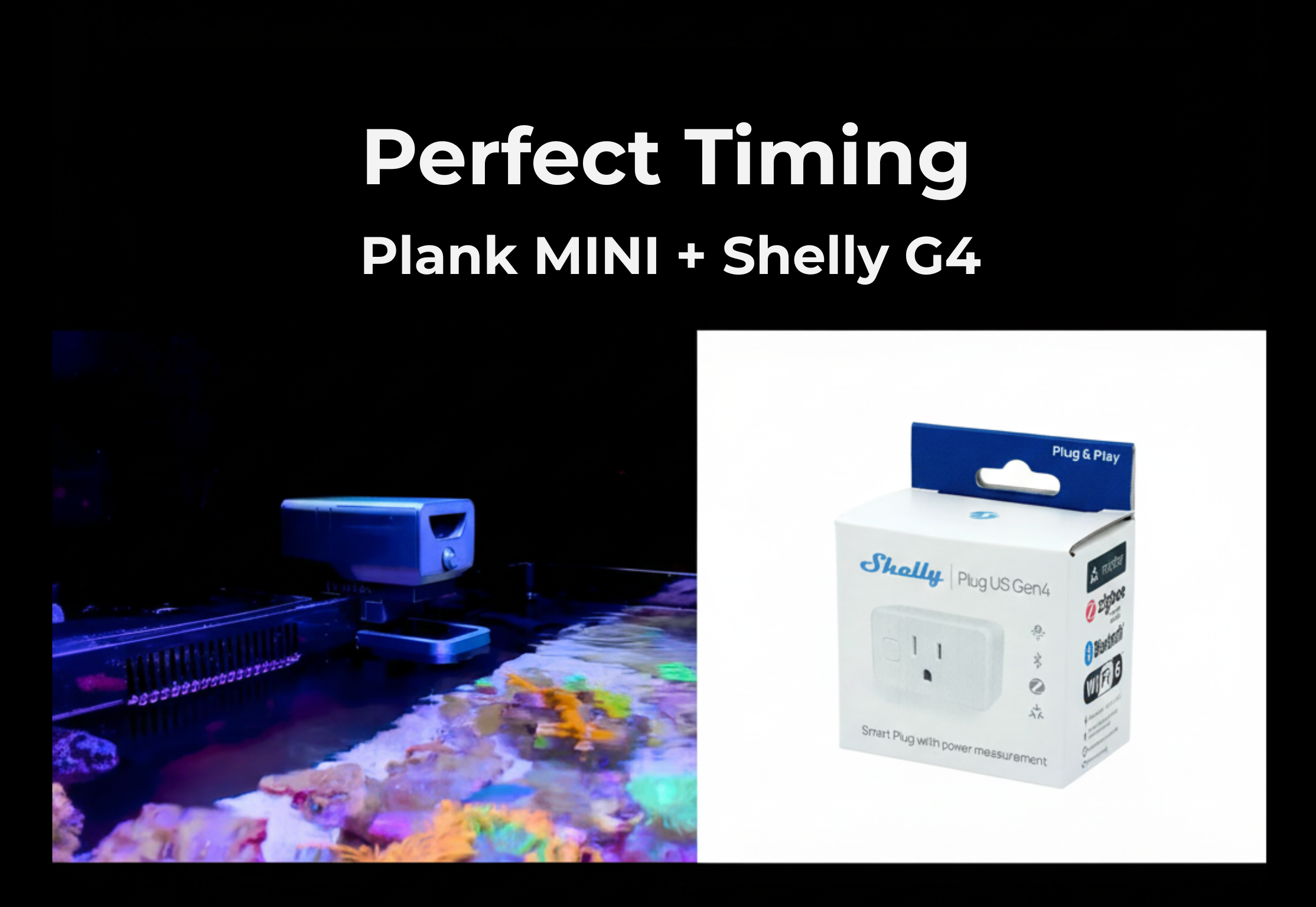 Why Seconds Matter when Using A Plank & Plank MINI