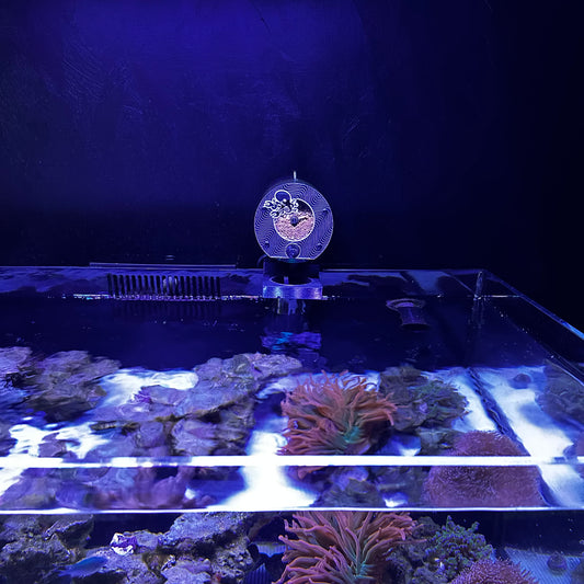 Avast_Marine_Plank3.6 on reef tank